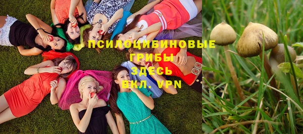 ПСИЛОЦИБИНОВЫЕ ГРИБЫ Семилуки