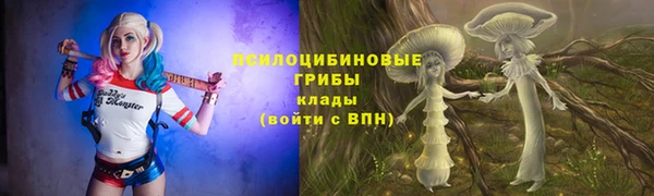хмурый Арсеньев