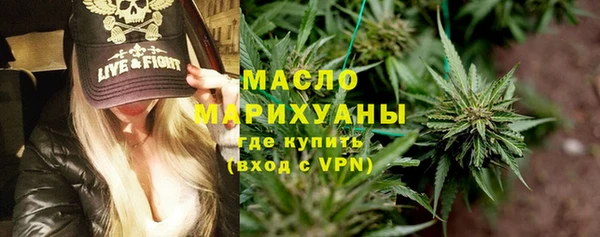 хмурый Арсеньев