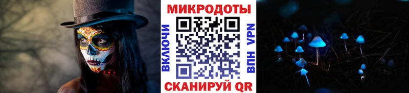 Псилоцибиновые грибы Psilocybe  mega как войти  Лениногорск  где продают  
